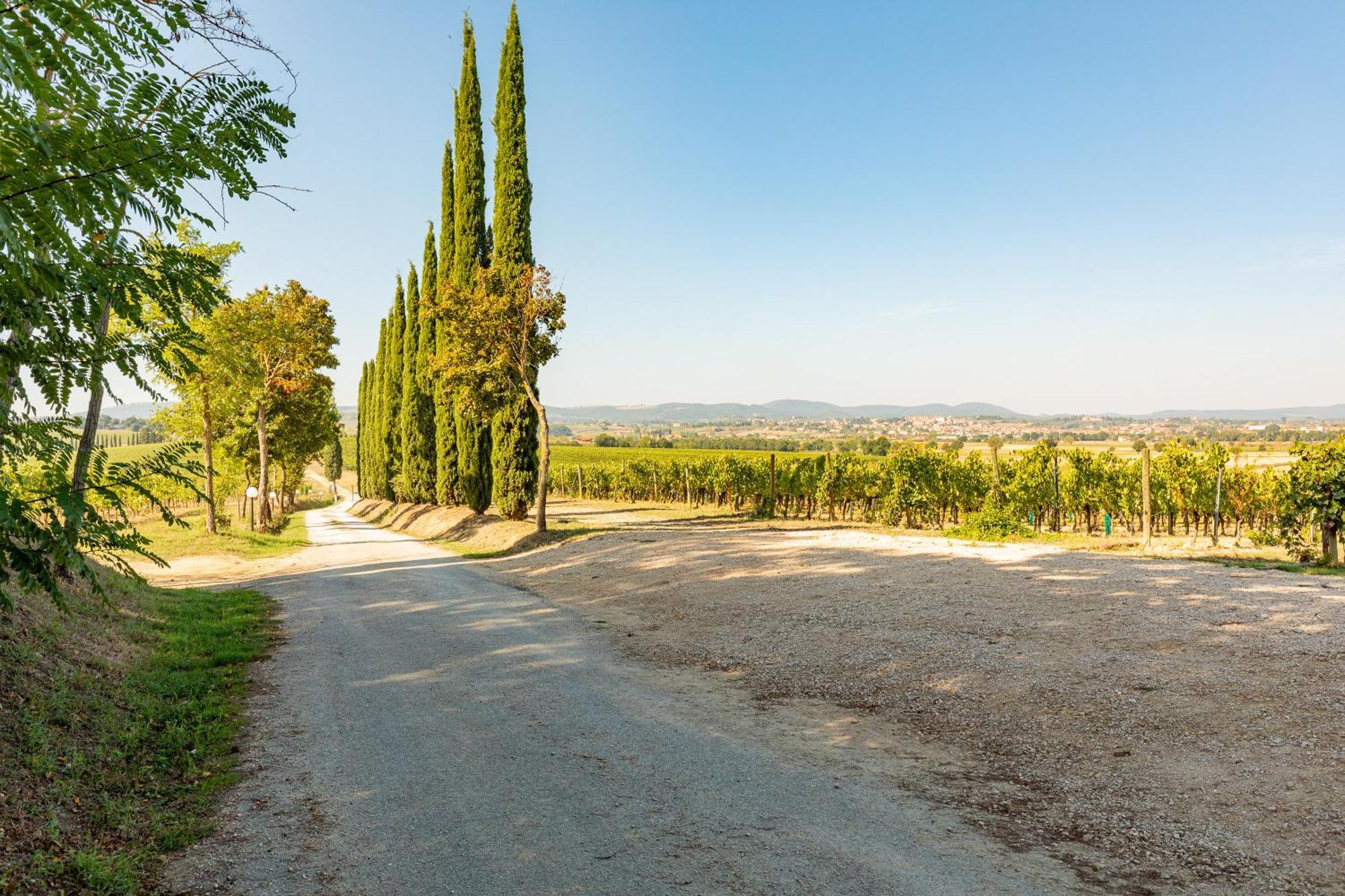 Appartamento Nobile Montepulciano Zewnętrze zdjęcie