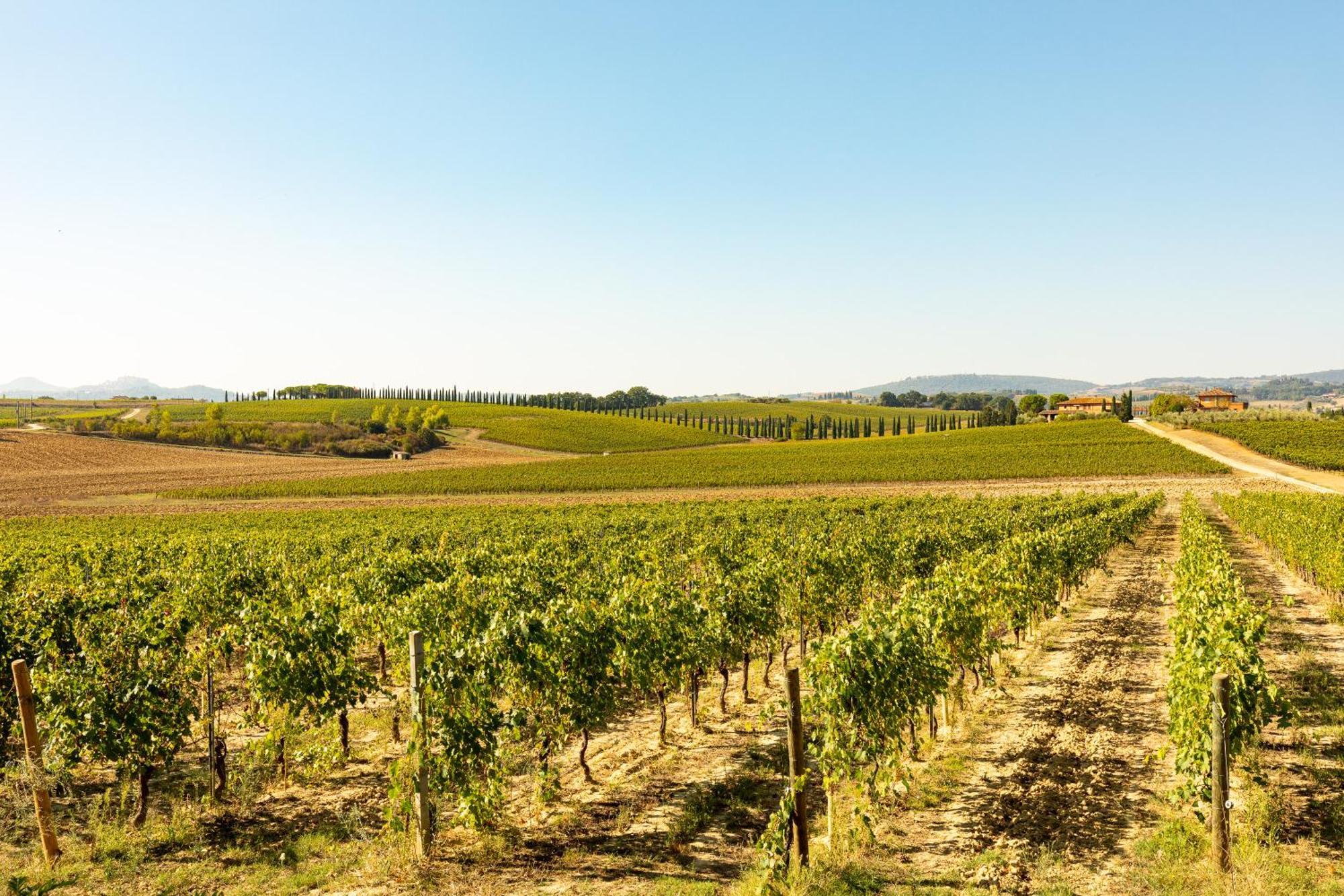 Appartamento Nobile Montepulciano Zewnętrze zdjęcie